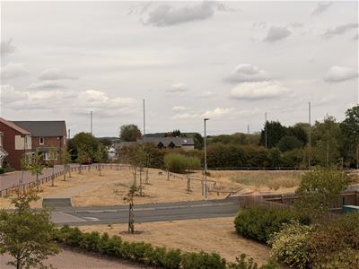Picture 45